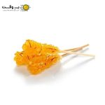 نبات چوبی زعفرانی تک نفره